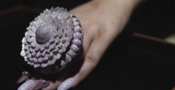 Пръстен с 12 638 диаманта в Рекордите на Гинес