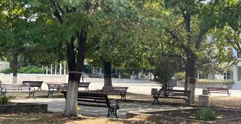Раднево осъмна с трикольорни ленти по дърветата