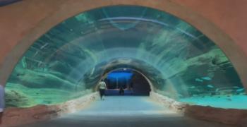 Откриха водния парк "Морски свят" в Абу Даби