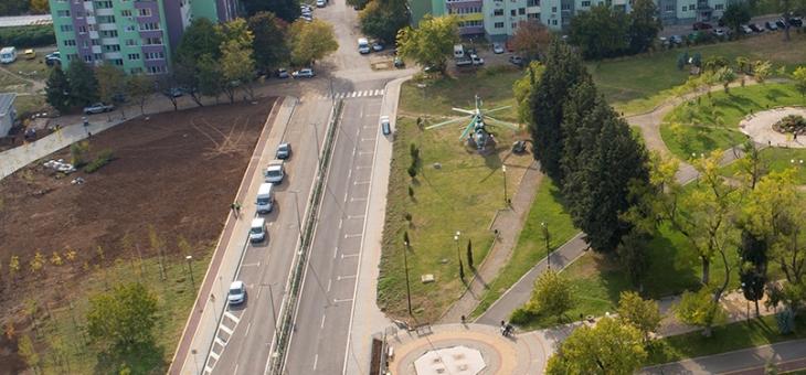 В Стара Загора осигуряват отново терен за засаждане на коледни елхи   