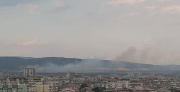 Заради силния вятър: Има паднали дървета и пожари в Старозагорско