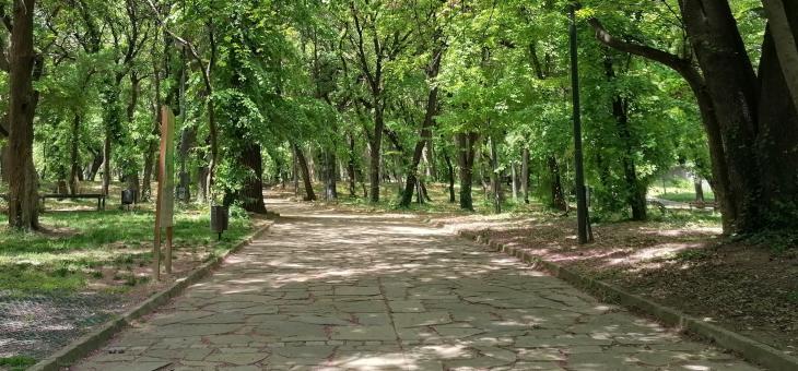 Пръскат против комари извънредно в Стара Загора