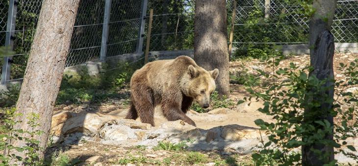 Зоопаркът в Стара Загора си търси биолог