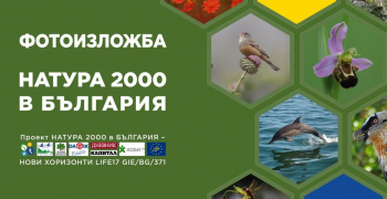 Природозащитници представят виртуална изложба "НАТУРА 2000 в България"