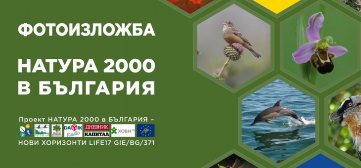 Природозащитници представят виртуална изложба "НАТУРА 2000 в България"