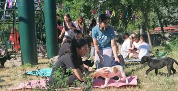 Йога с кучета събра любители на животните в парк „Артилерийски“ в Стара Загора
