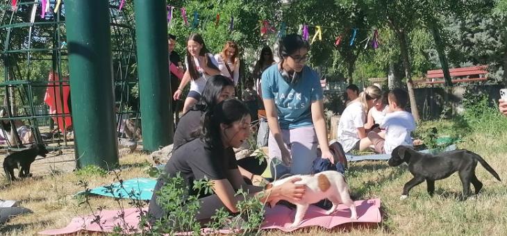 Йога с кучета събра любители на животните в парк  „Артилерийски“ в Стара Загора