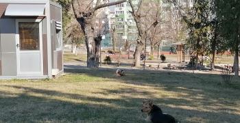 В Стара Загора организират благотворителен базар "Дай малко, дари чудо"