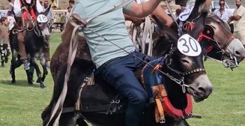 Гъмзата и Краси Радков - смели ездачи на 36-ото Биорали в Гурково