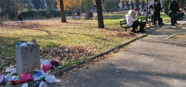 Кошчетата в градската градина в Стара Загора - кое е по-по-най