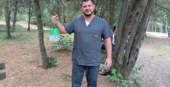 Залагат над 350 феромонни капани срещу боровата процесионка в парк „Аязмото“, два старозагорски квартала и три села