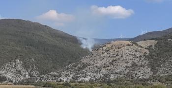 Огнеборци гасят пожар в гората под Бузлуджа