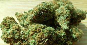 В Стара Загора задържаха 21-годишна жена заради наркотици