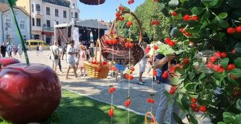 Празник на черешата в Кюстендил