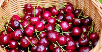 В сезона на черешите: Кампания "Набери си сам" 