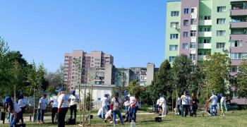 Брези и японски вишни красят южната част на парк „Артилерийски"