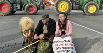 Земеделски производители и животновъди блокираха подбалканския път в района на разклона за село Дунавци