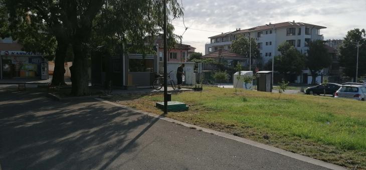 В Стара Загора 66-годишен мъж се грижи за дръвчетата в парк "Артилерийски" 