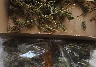 Криминалисти от ОДМВР-Стара Загора иззеха близо 250 грама марихуана от адрес в с. Петрово   