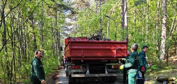 Започна разчистването на паднали сухи клони и дървета в Аязмото