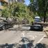 В Русе дърво падна върху два автомобила