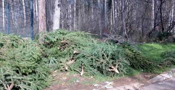Благороден жест: Дариха елхички на Зоопарка в Стара Загора