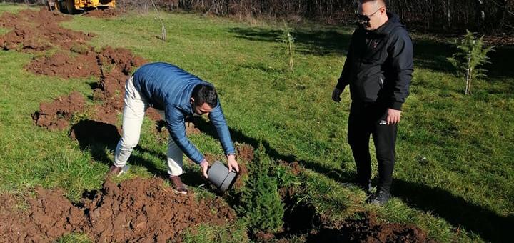 Старозагорци започнаха засаждането на живи коледни дръвчета