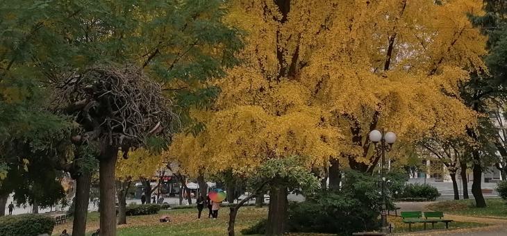 Очаква ни слънчево време