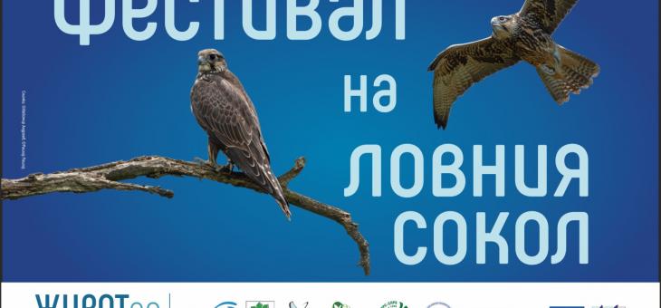 В Малко Кадиево организират традиционния Фестивал на ловния сокол