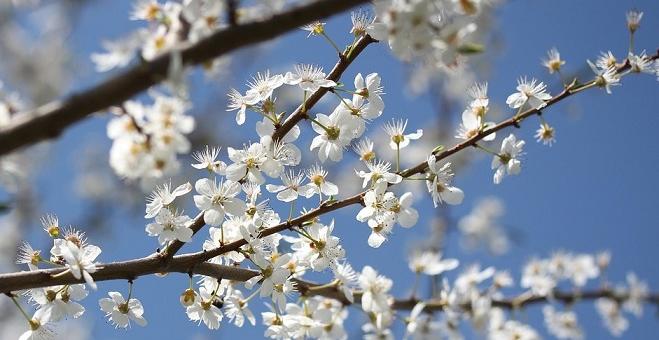 Времето: Слънчево и със слаби превалявания на места