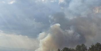 Пожар в района на гълъбовското село Обручище, обявиха частично бедствено положение