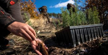 Община Стара Загора спечели конкурс на Нестле България с проект за залесяване на 65 дка от опожарените терени в местността „Седми километър“