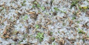 Обявиха частично бедствено положение в няколко села край Нова Загора