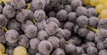 БАБХ спря 19 тона грозде с наднормени остатъци от пестициди