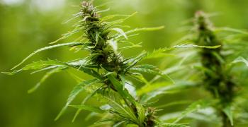 Откриха наркотици в дома на 42-годишен старозагорец
