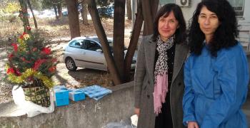 "Чудната елха" тази година отиде в ковид отделение в Стара Загора