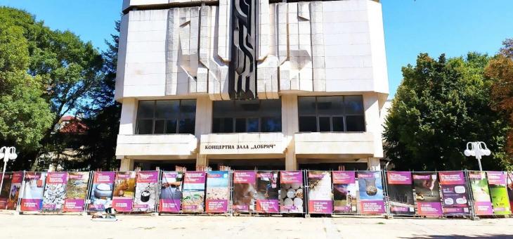 Пътуваща изложба в Добрич, Стара Загора и Велико Търново разказва за глобалния проблем с неправилно изхвърлените цигарени фасове 