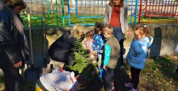 Зам.-кметът Павлина Делчева засади атласки кедър с послание срещу насилието и злоупотребата с деца