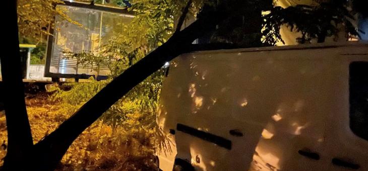 В Стара Загора отстраниха голям клон, паднал върху микробус