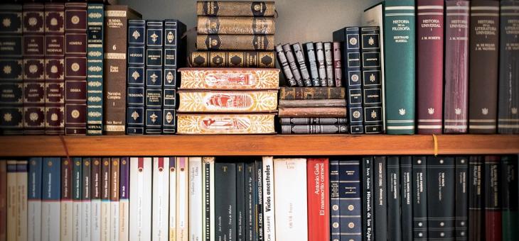 ДДС за книги, вестници, списания и бебешки храни остава 9% 