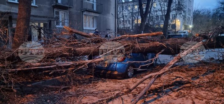 Ураганен вятър в София