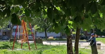 Предварителен график за косене на зелени площи в Стара Загора и разчистване на междуселищни пътища