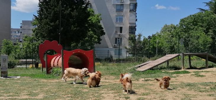 Изграждат пространства за разходка на дребни породи кучета в Стара Загора   