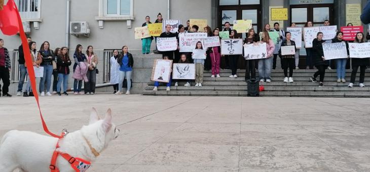 В Стара Загора протестиращи отново поискаха зоополиция и по-тежки наказания за насилието над животни