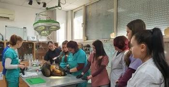 Бъдещи ветеринарни специалисти трупат опит в Спасителния център за диви животни в Стара Загора