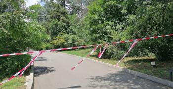 В Старозагорския зоопарк: Върнаха в клетката леопарда, който избяга по-рано днес