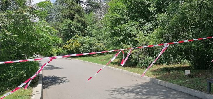 В Старозагорския зоопарк: Върнаха в клетката леопарда, който избяга по-рано днес 