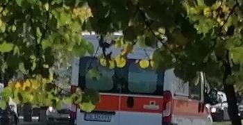 Мъж и жена са в болница след катастрофа край Богомилово