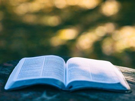 9 % ДДС за ресторантьори, книгоиздатели и търговци на бебешки стоки от 1 юли