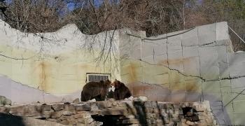 Зоопаркът в Стара Загора ще кандидатства за лиценз, готви приятни изненади за посетителите